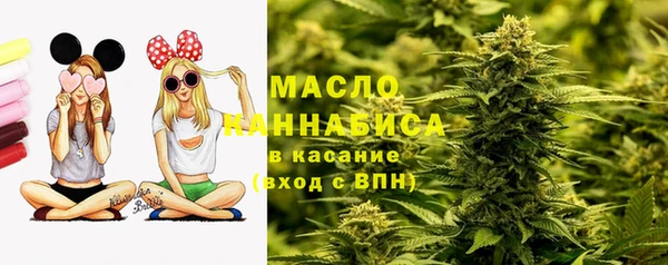 молекула духа Алексеевка