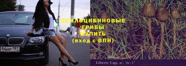 молекула духа Алексеевка