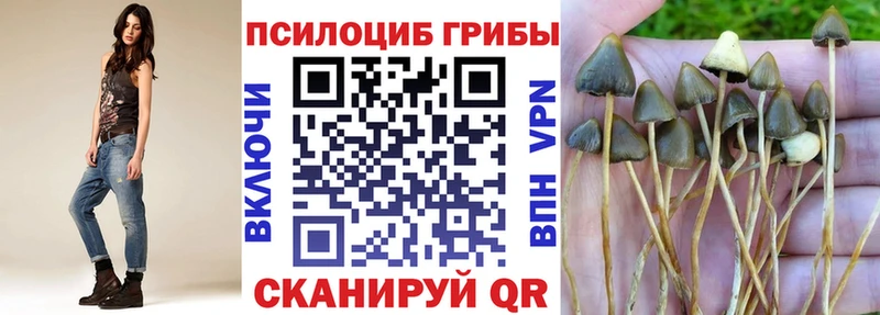 Галлюциногенные грибы Psilocybine cubensis  Неман 